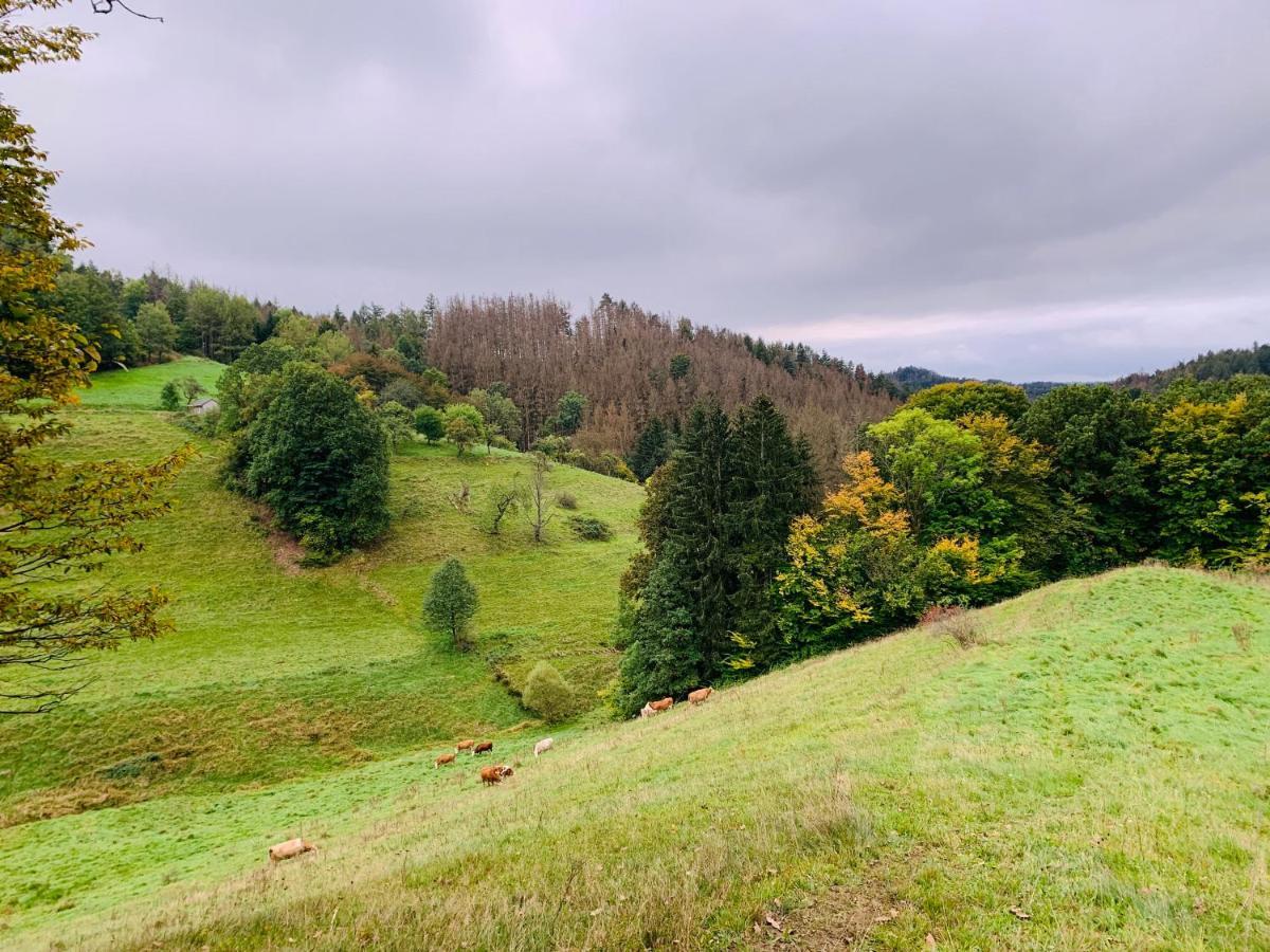 Naturhof Kluge Saupsdorf 外观 照片