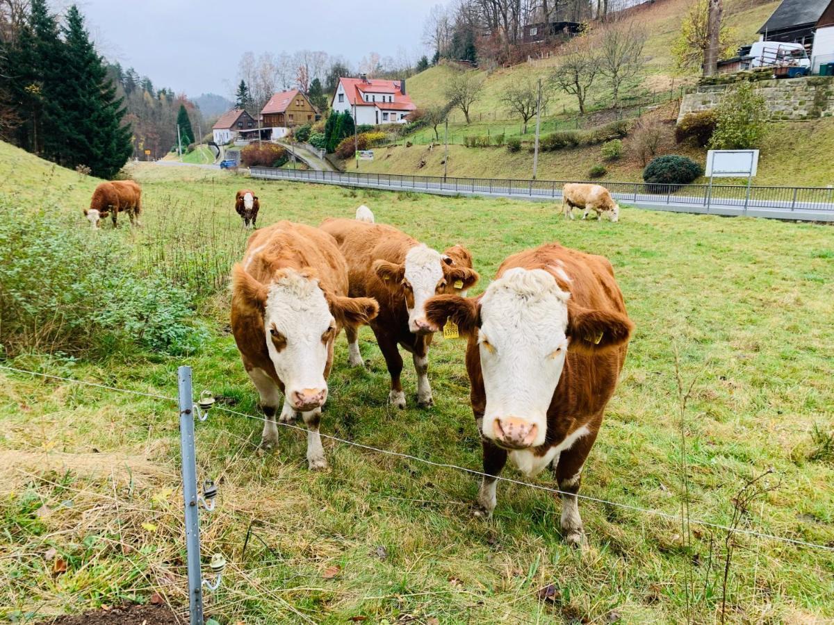 Naturhof Kluge Saupsdorf 外观 照片